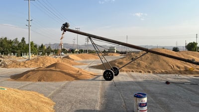 سایلۆی بیتوێن ده‌ڵێت جێگه‌مان نه‌ماوه‌ بۆیه‌ گه‌نمى بنگرد وه‌رناگرین