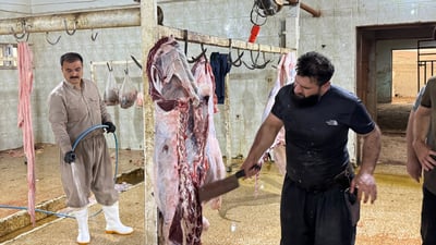 دوای رۆژێک لە داخستنی ئەمڕۆ کوشتارگەی کۆیە کرایەوە