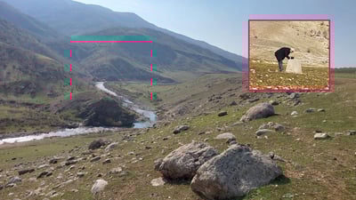 ئیداره‌ى راپه‌ڕین خه‌ریكه‌ شوێنێكی گونجاو بۆ نۆبه‌ره‌ى پۆنده‌كانى ئاو بدۆزێته‌وه‌