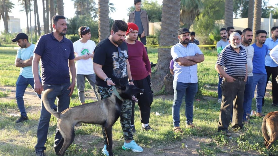 صور: 60 مربياً يستعرضون كلابهم المدربة في واسط.. ممارسة على كشف المخدرات