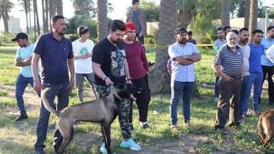 صور: 60 مربياً يستعرضون كلابهم المدربة في واسط.. ممارسة على كشف المخدرات