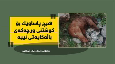 “هیچ پاساوێك بۆ كوشتنى ورچه‌كه‌ى باڵه‌كایه‌تى نییه‌ “