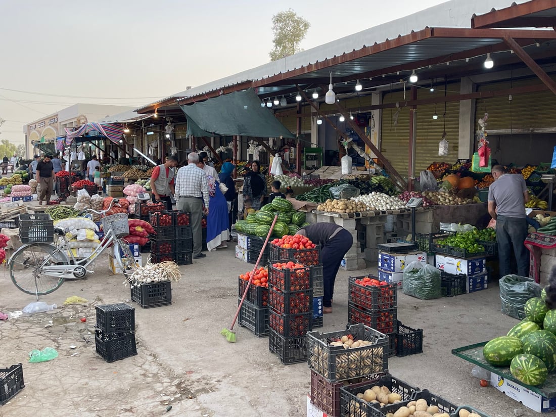 علوة كركوك: الباميا العراقية “مغرورة” بـ4 آلاف.. والمشمش يختفي بسرعة (صور)