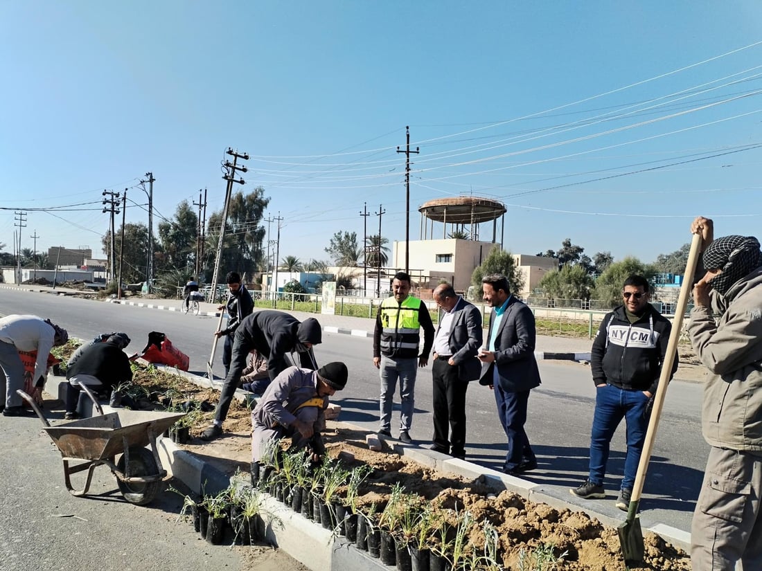 المشخاب تدعو أهلها للمشاركة في زراعة طريق القادسية.. أشجار أكاسيا بين الأقحوان