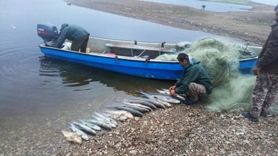 له‌ ئاوى سیروان ده‌ست به‌سه‌ر 22 تۆڕى ماسیگرتندا گیرا