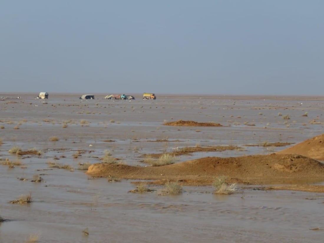 صور: الجيش ينقذ أغنام الرعاة من السيول في صحراء النخيب بين كربلاء والأنبار