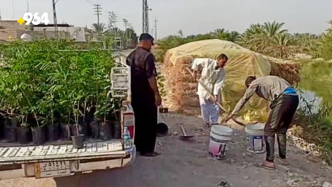 964mediaصورة من منصة (شبكة): 