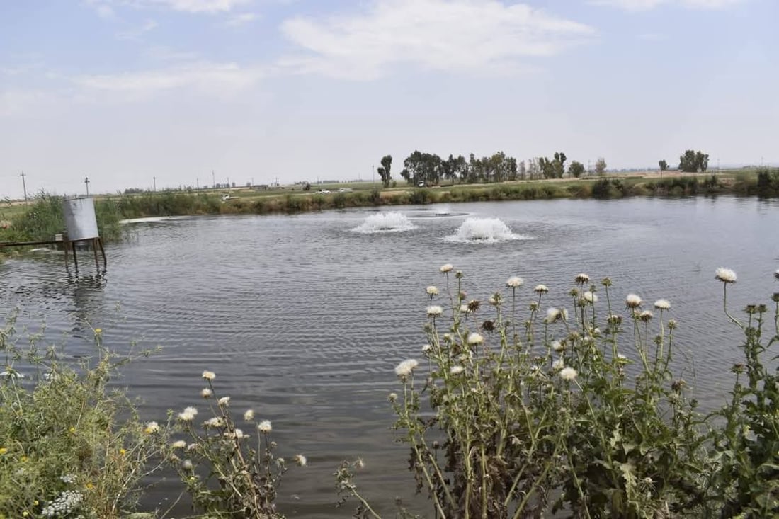 خاوەنی حەوزە زیادەڕۆکانی خورماتوو پابەندی بڕیاری وەزارەت نابن