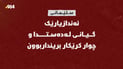ئەندازیارێک گیانى لەدەستدا و چوار کرێکار بریندارن