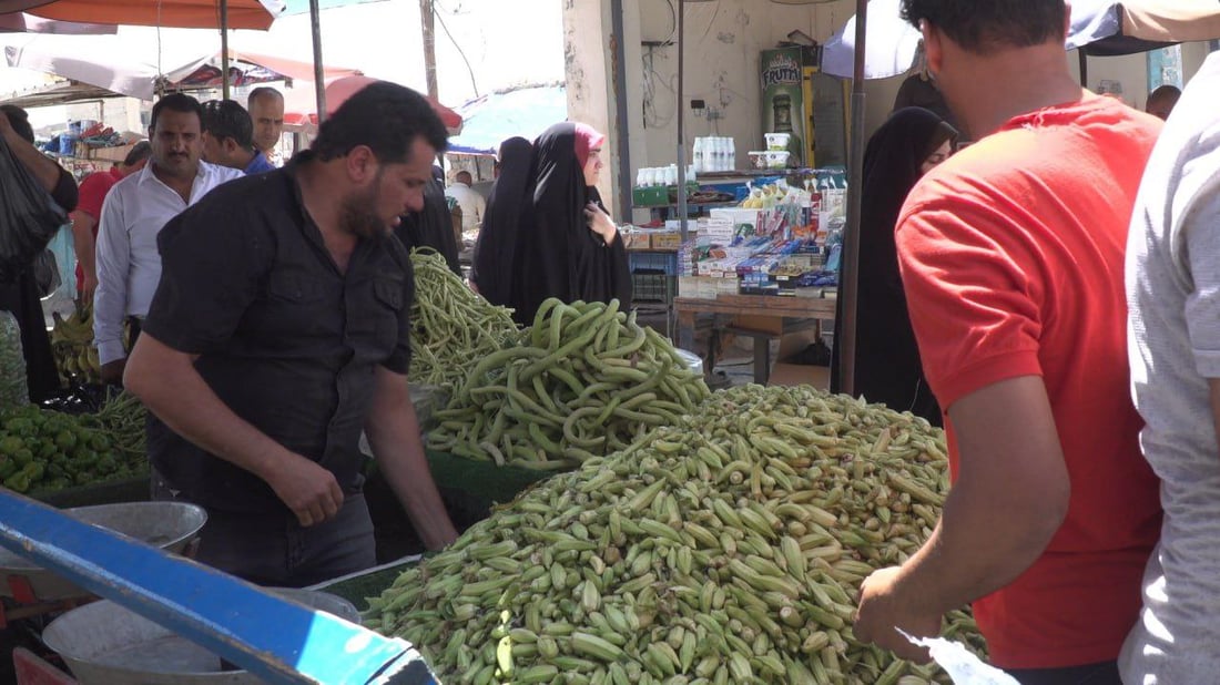 صور: سيدات الحلة بدأن تخزين “البامية” والأسعار قفزت إلى الضعف