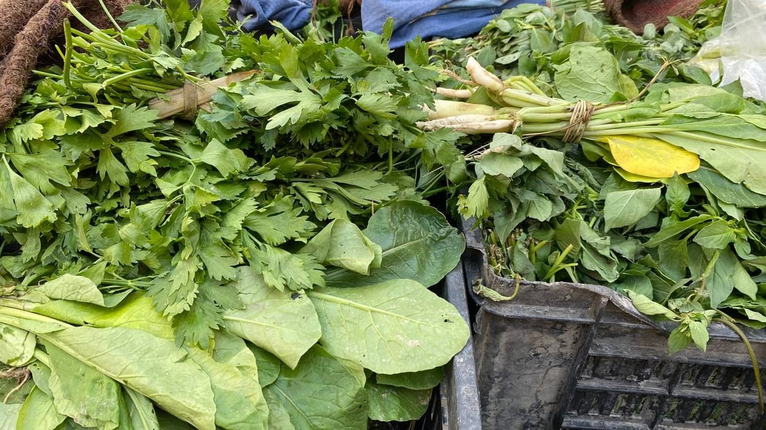 كم تربح؟.. دردشة مع “أبو ستوتة” خضار في البصرة: سيأتينا الريحان مبرداً من أربيل