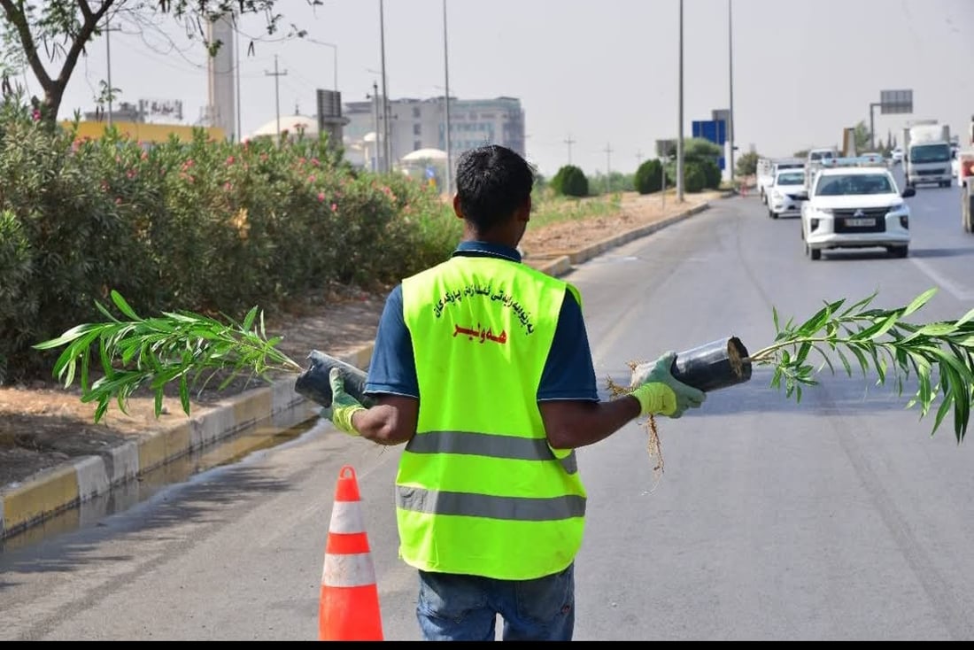 شه‌قامی 120 مه‌تری هەولێر سه‌وزتر ده‌كرێت