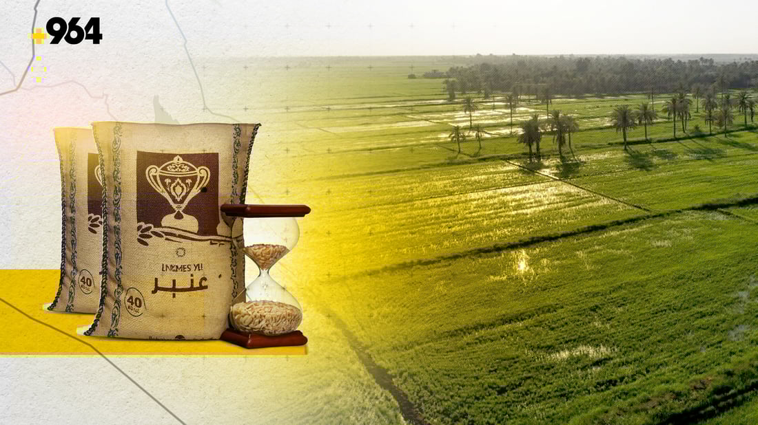 وكالات العنبر خاوية تقريباً وأعوام القحط التهمت الخزين.. والبديل “ذهب البسمتي”