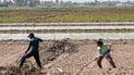 Iraq’s Agriculture Ministry expands research to combat water shortages, climate change