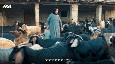 نیو سەدەیە بژێوی ژیانی لە سەر مەڕوماڵاتە