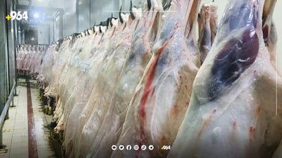 وەزارەتی کشتوکاڵ: نابێت هاوڵاتیان لە دەوری قەساب کۆببنەوە