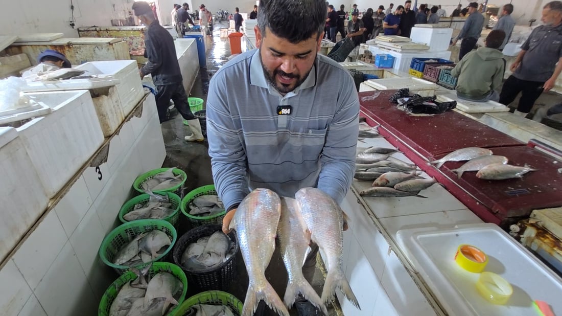 فيديو: خور عبد الله بلا مضايقات كويتية وسلال الزبيدي تملأ علوة الفاو