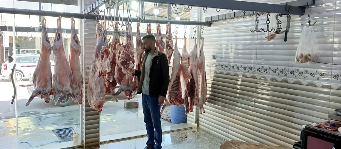 ڤێتێرنه‌رى دوزخورماتوو 15 قه‌سابخانه‌ى سزادا