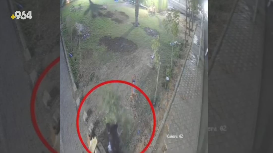 دوو گەنج داریان شکاندبوو خۆیان رادەستی پۆلیس کرد