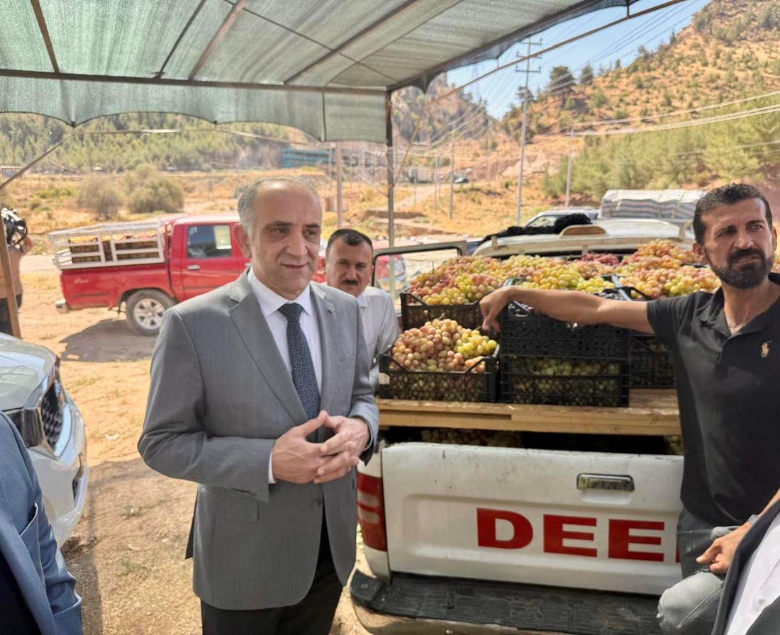 كۆمپانیایه‌كی خۆماڵی 6000 تۆن ترێ له‌ جوتیارانى دهۆک ده‌كڕێته‌وه‌