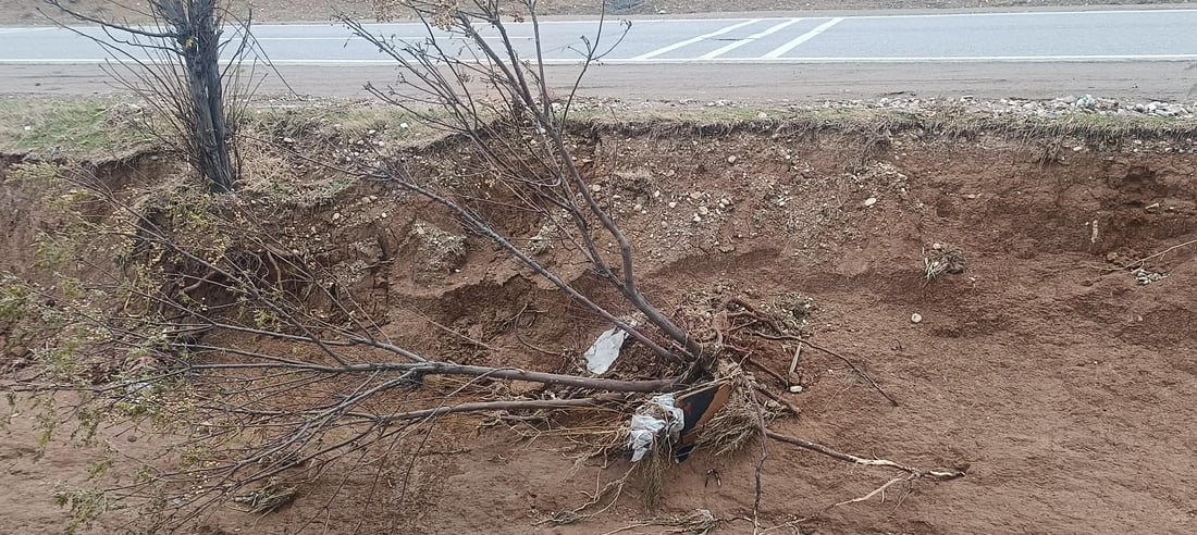 بچن بەهانای درەختەکانی نێوان تەکیە بۆ چەمچەماڵ