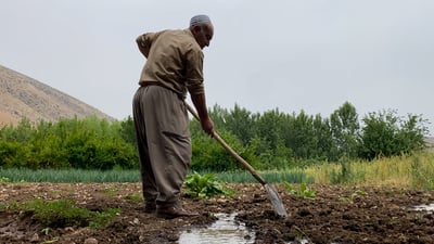 بهدوء ساحر.. فلاحو أربيل يبدؤون زراعة محاصيل الصيف “غير المخصصة للبيع”