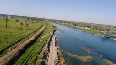 Farmers in Najaf adopt new rice farming techniques to combat water shortages