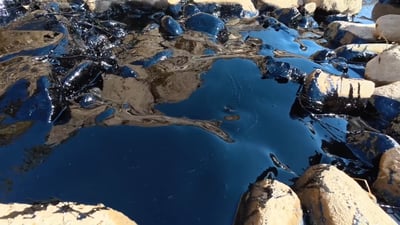 Waste oil dumped near Dukan threatens crucial supply of drinking water, environmentalists warn