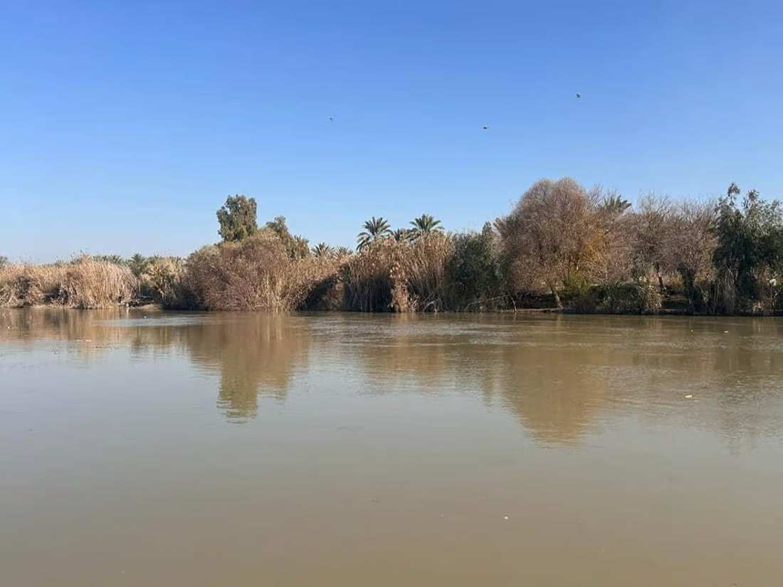 Illegal fishing threatens endangered turtle