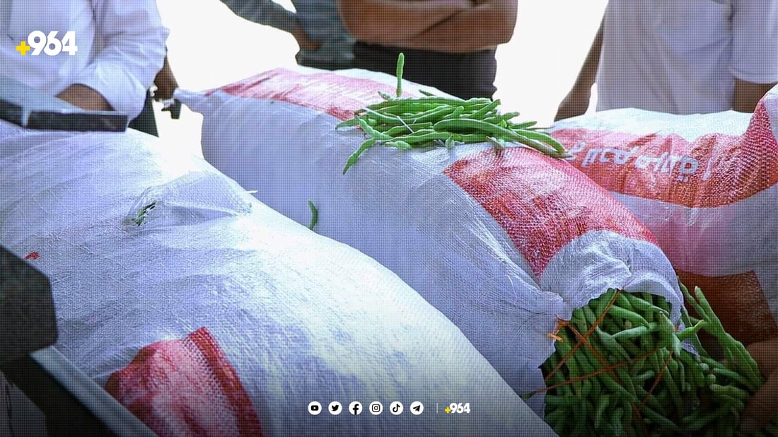 لۆبیای تەقتەق زیادیکردووە و دەڕوات بۆ خوارووی عێراقیش