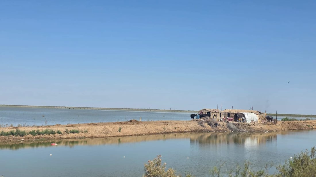 Hawizeh Marsh water levels rise, improving conditions for wildlife and residents
