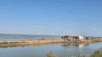 Hawizeh Marsh water levels rise, improving conditions for wildlife and residents