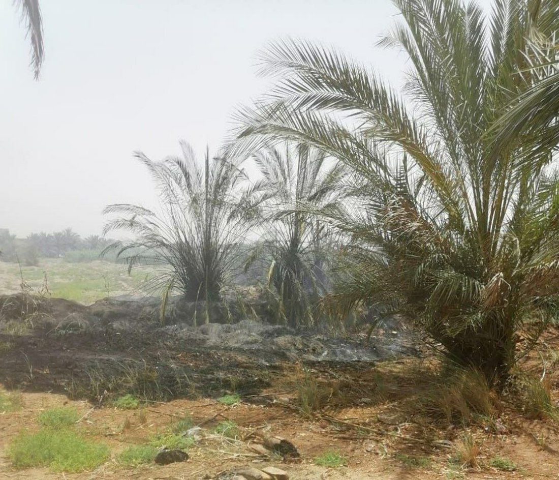 صور من الوركاء: احتراق 400 نخلة في لحظة.. محاولات ثلاثة فرق إطفاء بلا جدوى