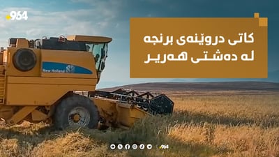 دروێنەی برنج لە دەشتی هەریر و باتاس دەستیپێکردووە