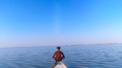 Iraq’s marshlands beat drought risk, minister claims