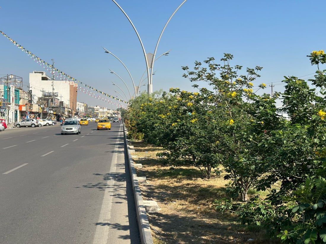 صور: تطويق كركوك بسعر مدعوم.. تشرين أفضل الأوقات لتشجير غابات الحويجة وداقوق