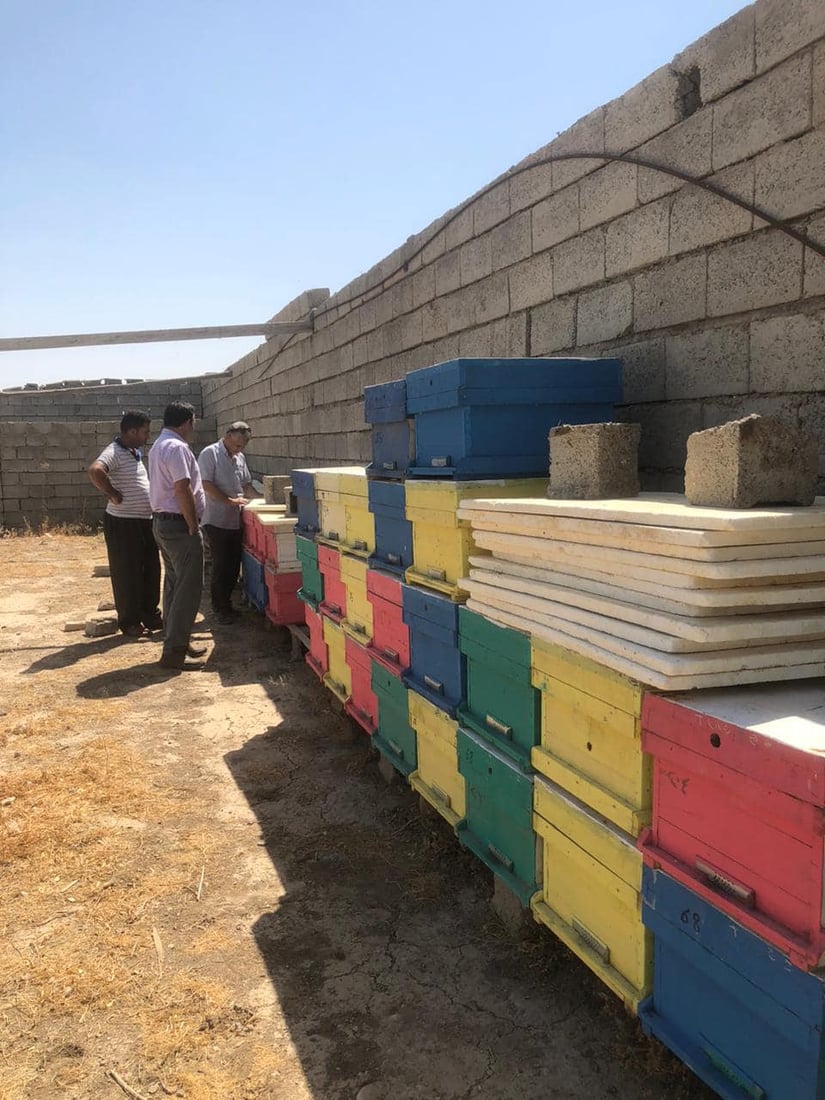 هۆكارێكی نادیار 85 سندوق مێشى له‌ گوندێكی گه‌رمیان له‌ناو بردووه‌