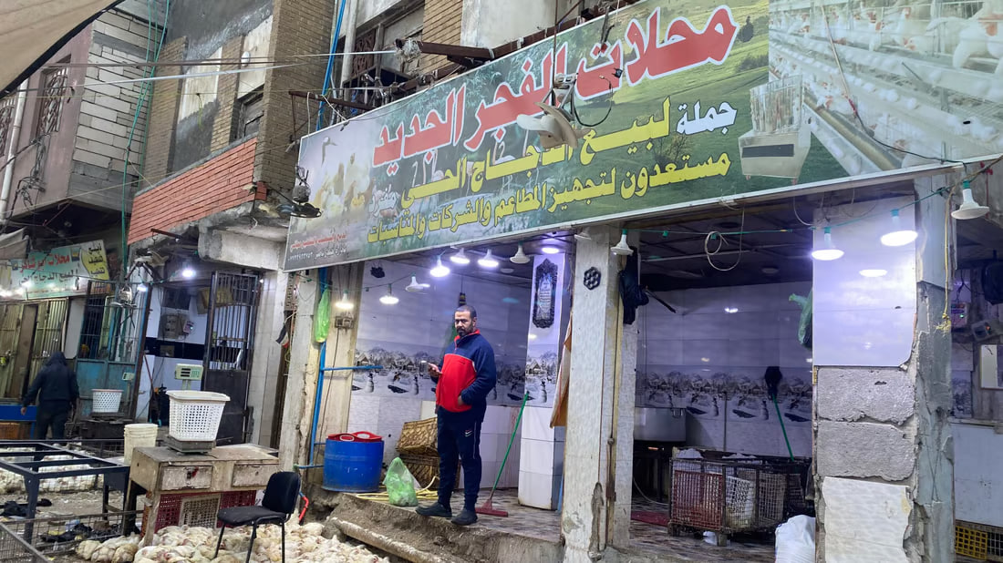 Insight from Basra’s poultry market shows local preferences and pricing dynamics