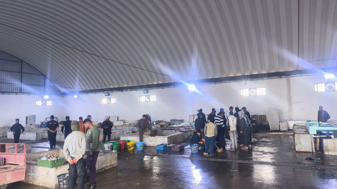 أطنان من السمك.. أم الروبيان والسلطعون في علوة الفاو (صور)