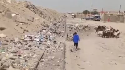 فيديو: قطار البصرة يشق طريقه بين النفايات والحيوانات.. سائق يوثق معاناته اليومية