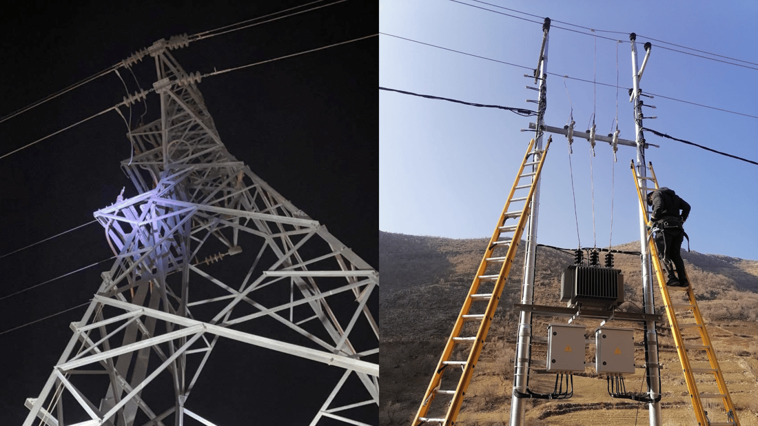 مووچەی گەڵوێشكە رووناک دەکرێتەوە و محاویلەیەکیش بۆ چەند ماڵێكی گەڕەكی وەساوا دادەنرێت