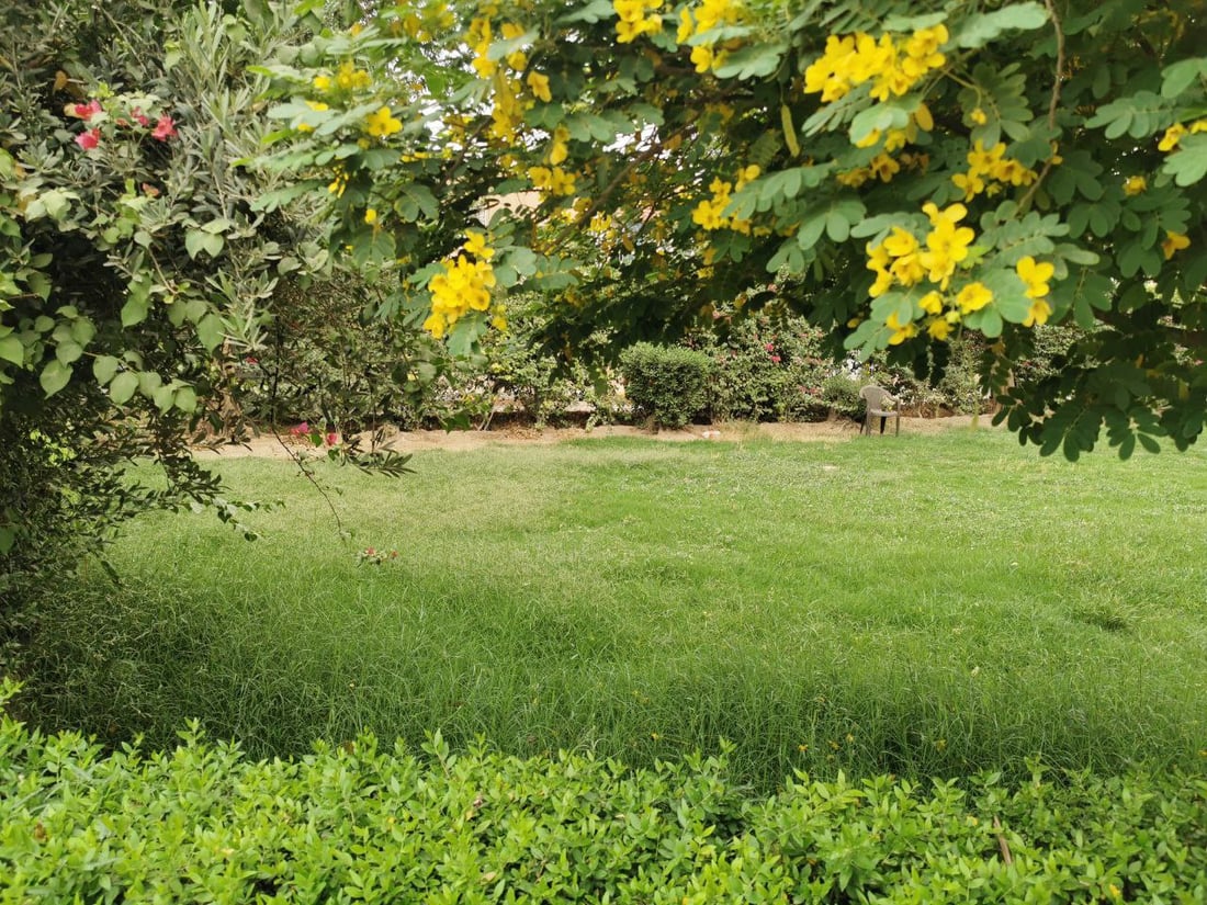 أعطى مفتاحاً لكل عائلة.. شاب كوفي ينشئ للجيران حديقة غنّاء ويحيطها بأبواب محكمة