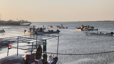 Al-Faw fishermen press on through peak season as war reshapes Gulf waters