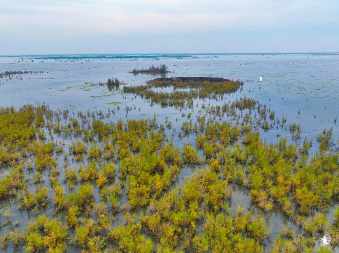صور من الهور: الحويزة يتنفس من جديد بعد مياه الأمطار الأخيرة