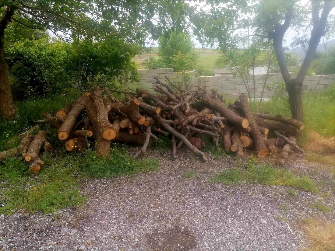 چوار پیکاب داری بڕاوە دەستی بەسەردا گیرا