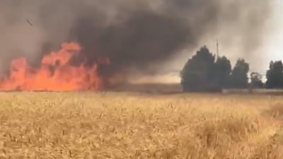 زیاتر لە 80 دۆنم زەوی سووتا