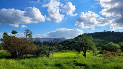 کەشەکە تابڵێی بەهاری و دڵگیرە