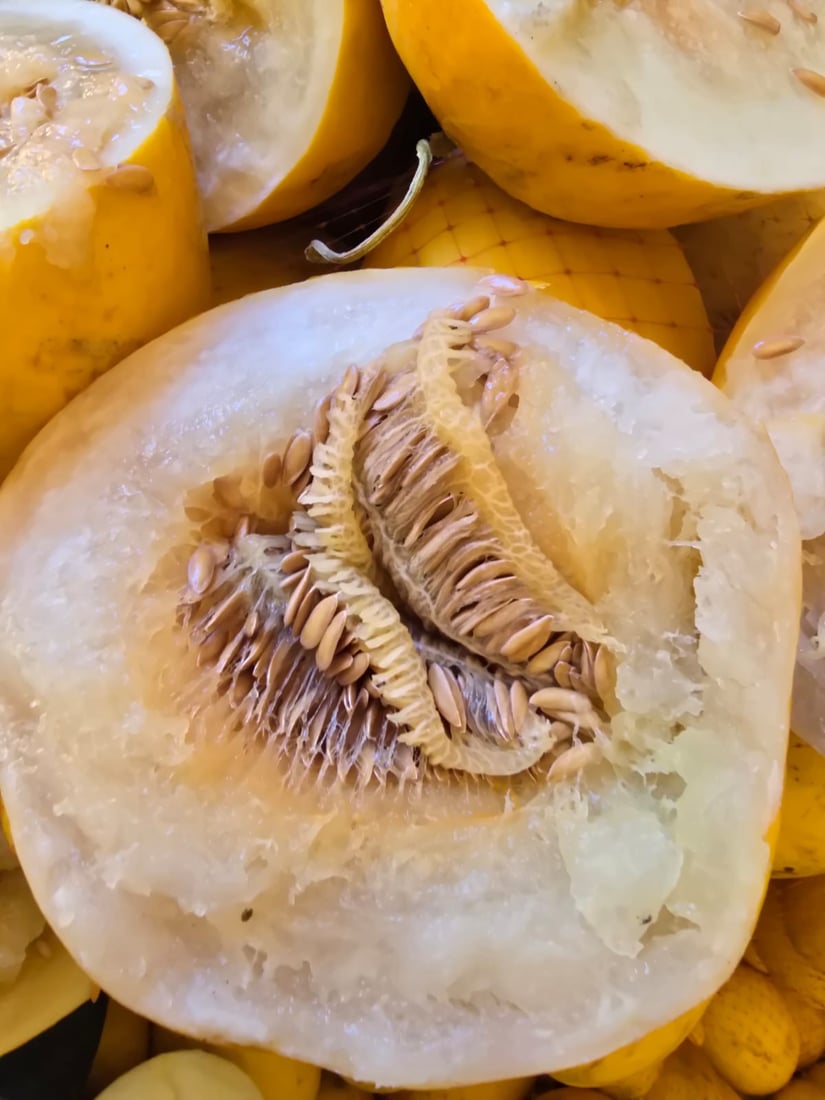 زیاتر لە 10 تۆن کاڵەکی خراپبوو لە مەرزی شۆشمێ دەستی بەسەرداگیرا