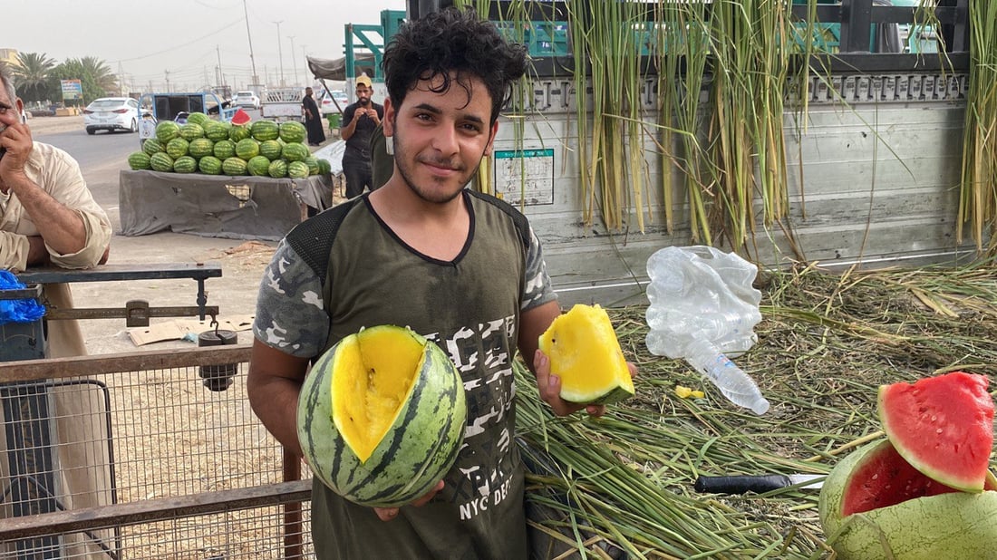 صور: “رقي الأناناس” في الناصرية للمرة الأولى.. فاكهة “لذيذة” تثير فضول الزبائن