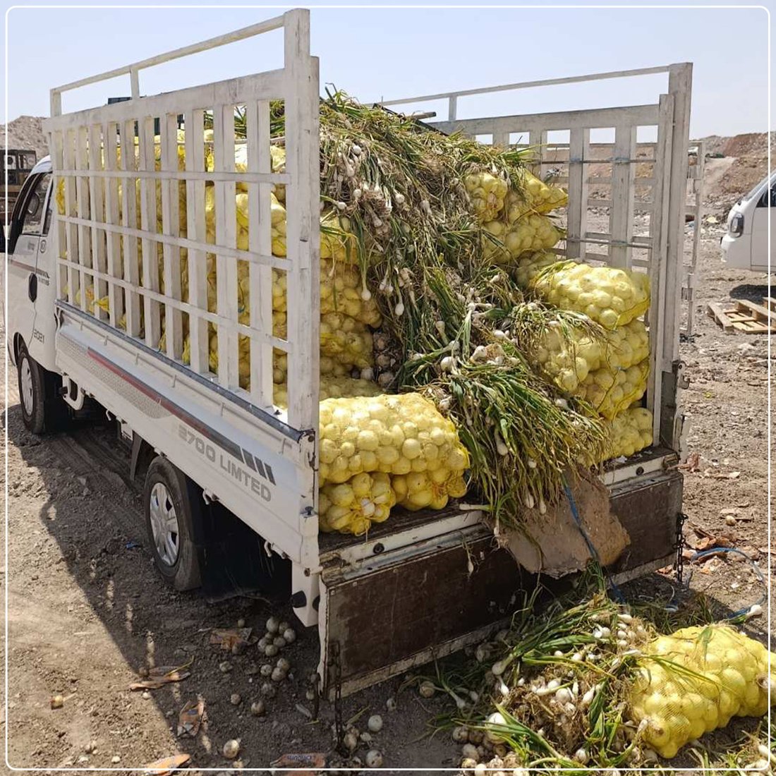 زیاتر له‌ 16 تۆن خۆراک و كاڵای خراپبوو لە سلێمانی دەستی بەسەرداگیرا